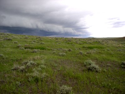 Weather05