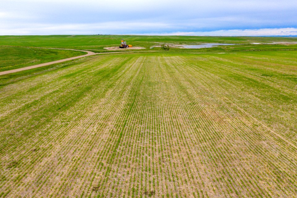 Jgibson Day1 0065 DJI 0185