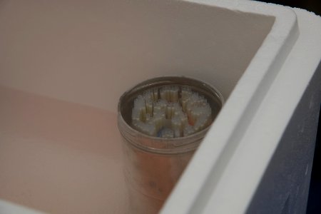 20180516-OSEC-LSC-0422