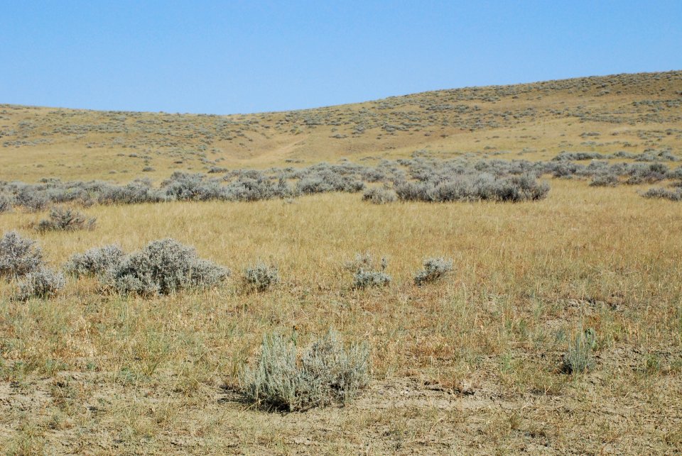 Conservation Systems Hash 01.jpg