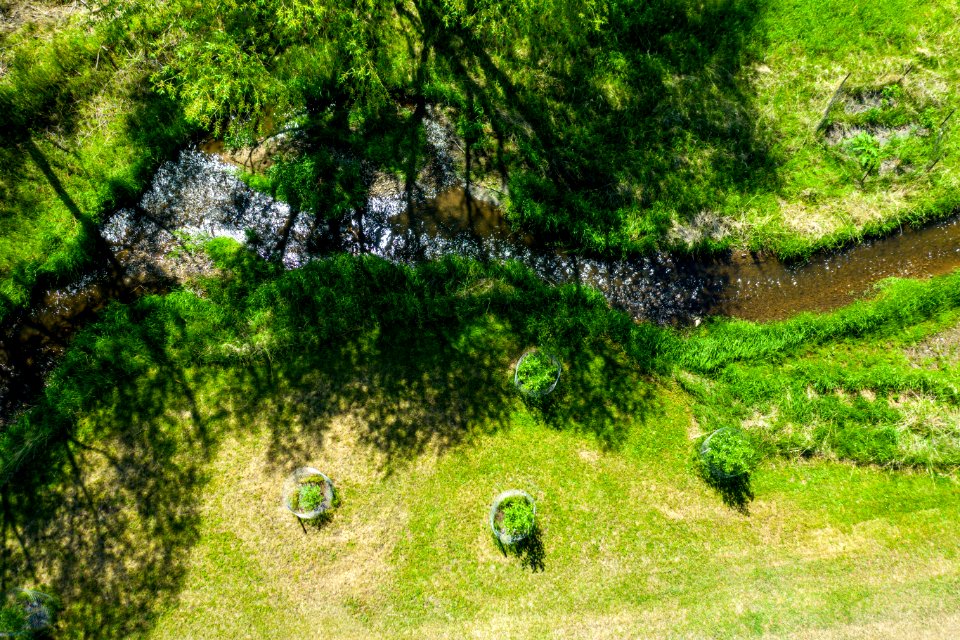 Jgibson Day5 0091 DJI 0715