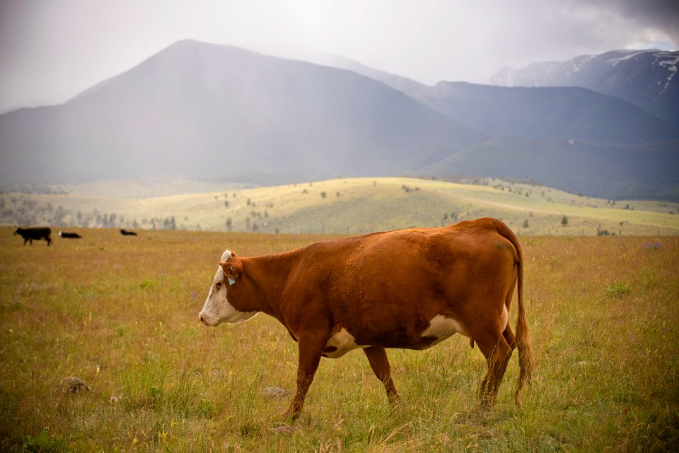 3476 NRCS projects