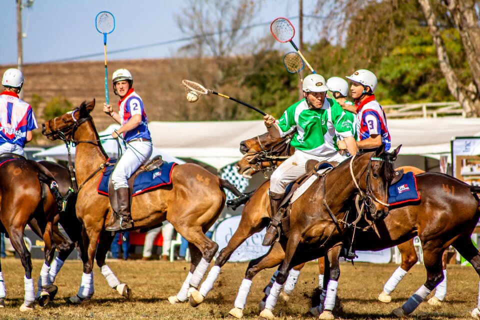 Usa polo competition