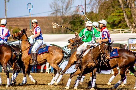 Usa polo competition
