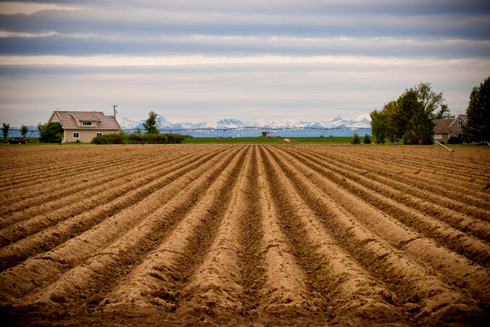 3964 NRCS projects