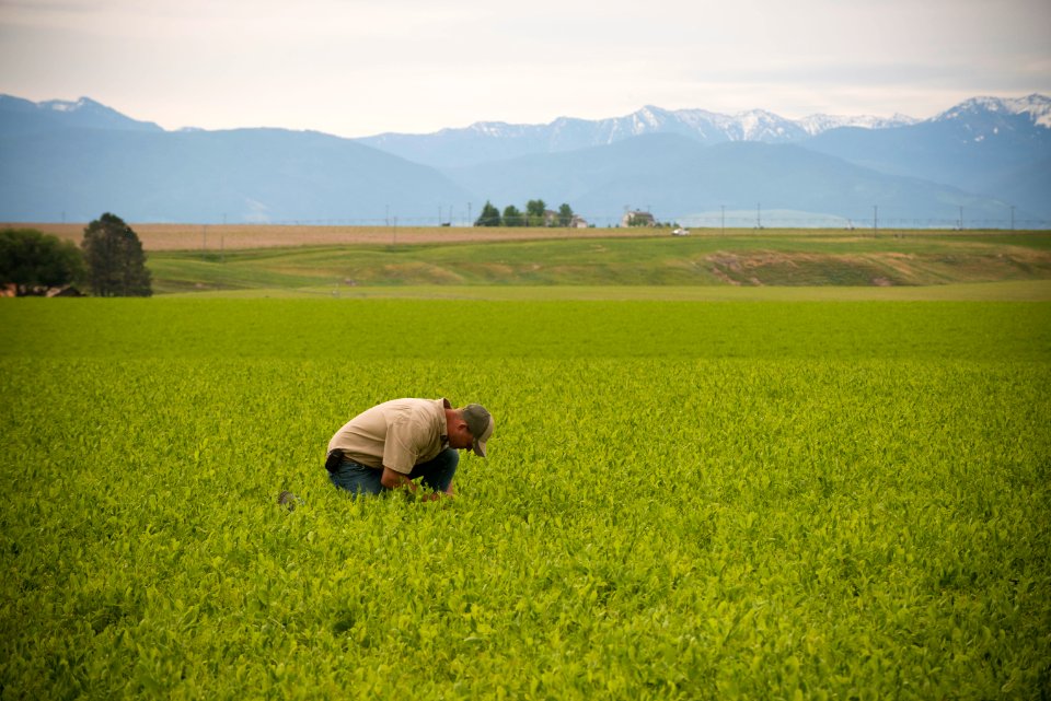 4054 NRCS projects