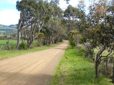 Quiet Road photo