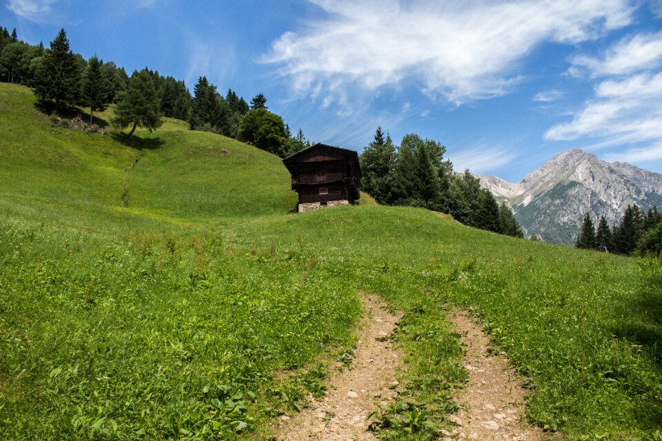 Nature meadow field