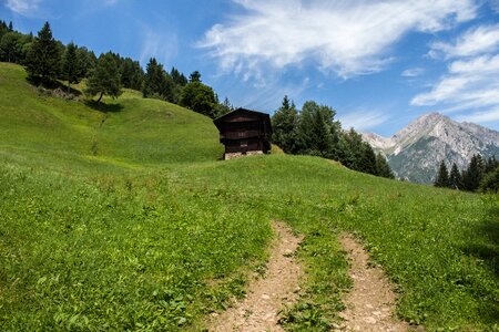 Nature meadow field photo