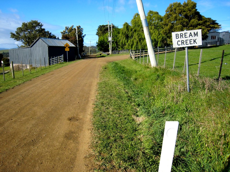 Running through Bream Creek