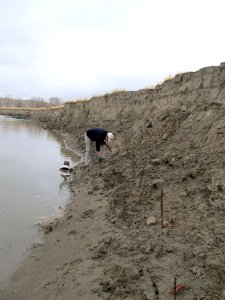 Critical Area Stabilization MV01.jpg
