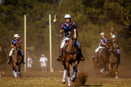 Horseback competition racehorse