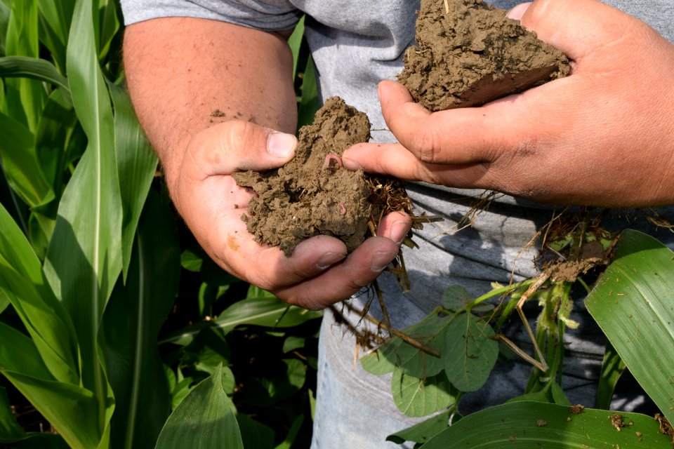conservationtillage178