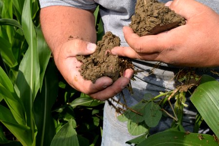 conservationtillage178 photo