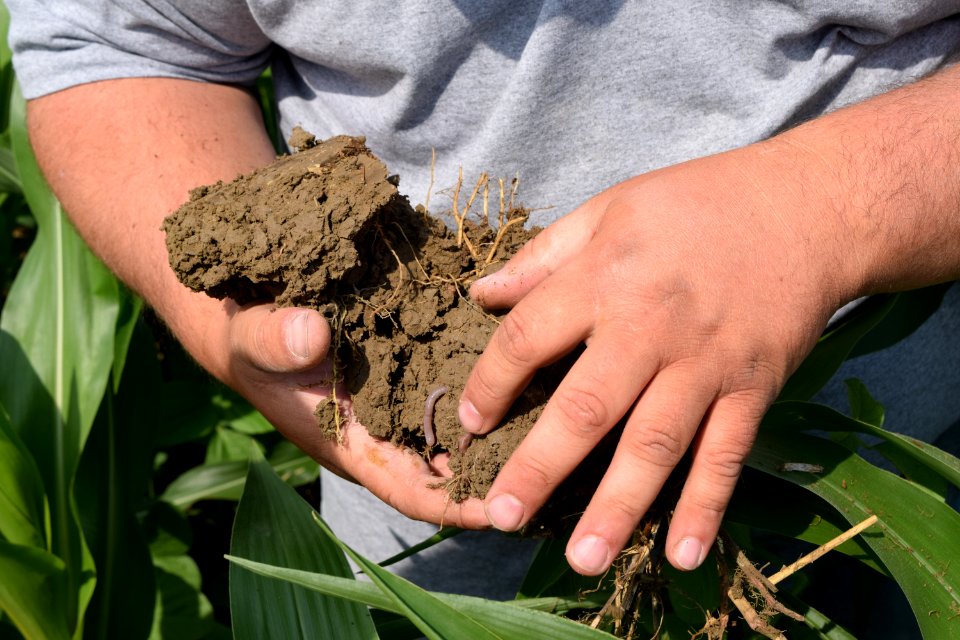 conservationtillage192