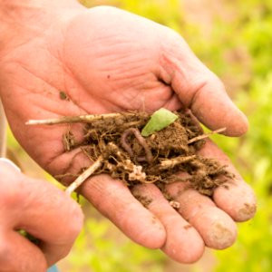 4071 NRCS projects