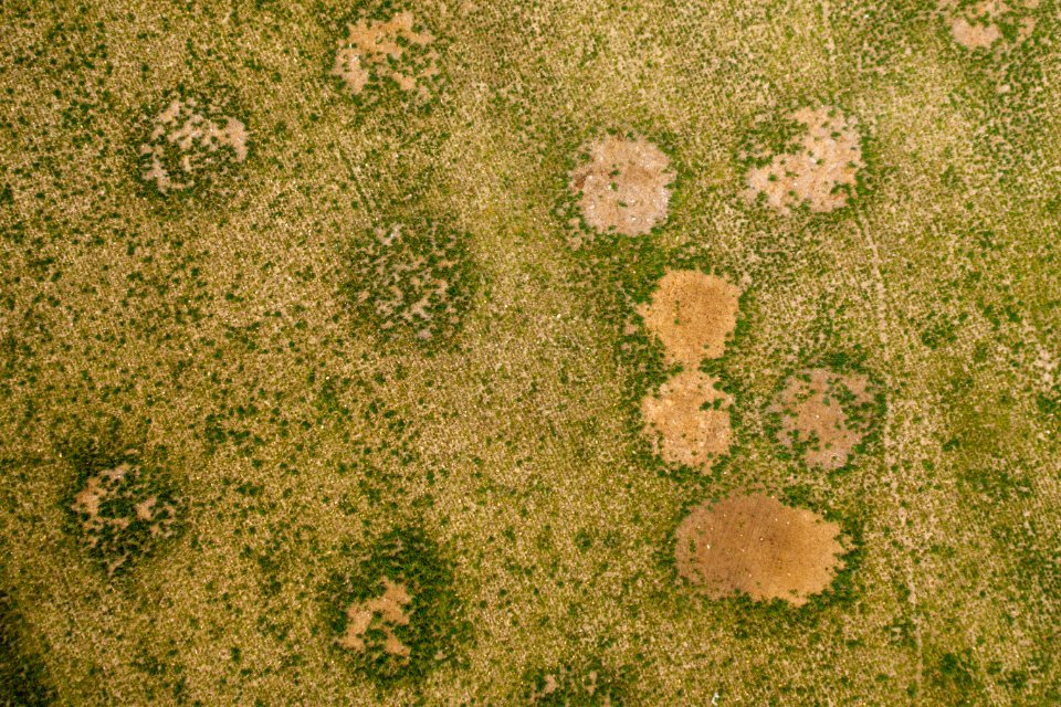 Jgibson Day1 0075 DJI 0579