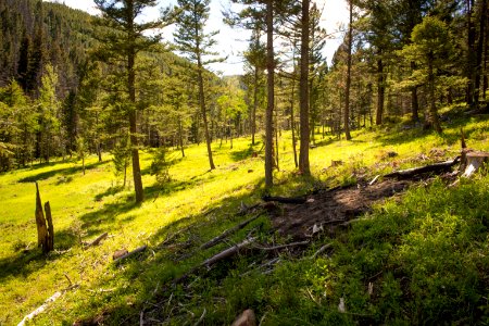 1111 NRCS projects