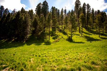 1099 NRCS projects