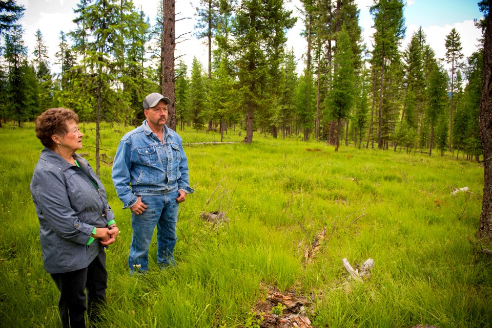 2806 NRCS projects