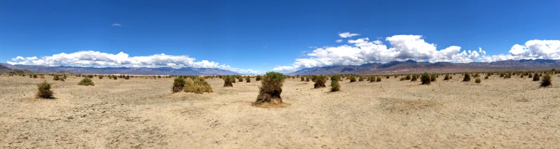Devil's Corn Field at Death Valley NP in CA