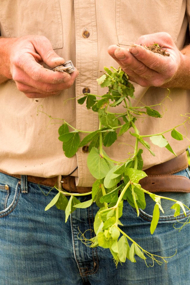 4065 NRCS projects 2