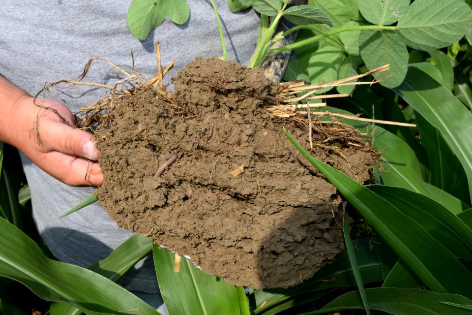 conservationtillage193