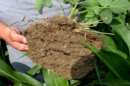 conservationtillage193 photo