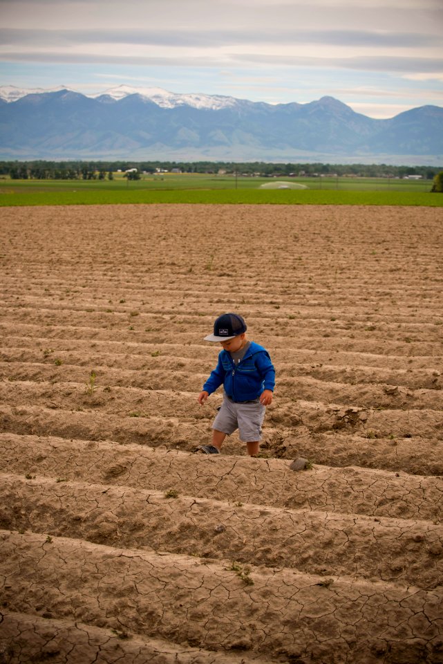 4031 NRCS projects
