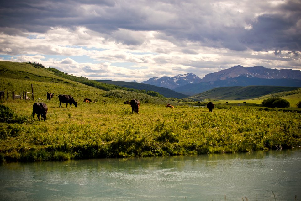 5479 NRCS projects