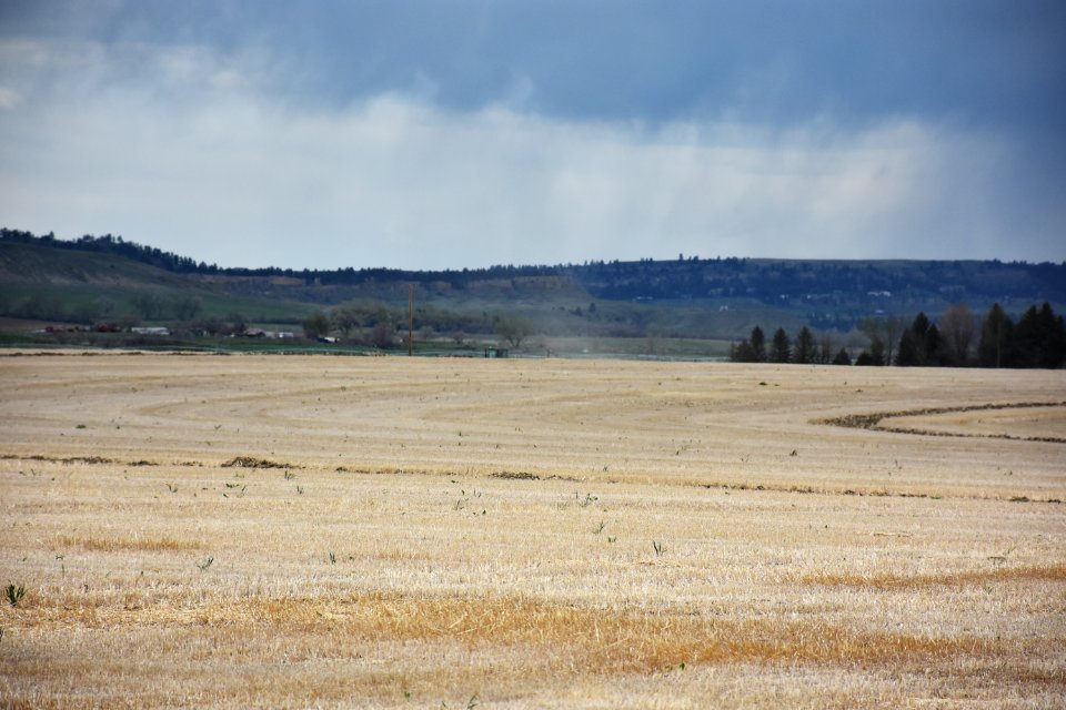 conservationtillage73