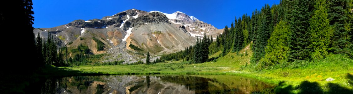 Glacier Basin at Mt. Rainier NP in WA photo