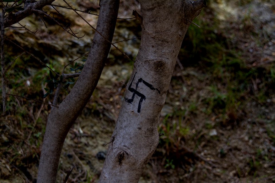 arbre del pas d'en Nazi