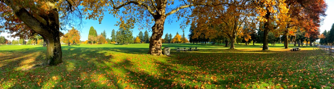 Fort Vancouver in WA