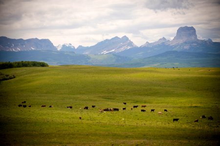5245 NRCS projects