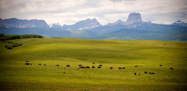 5248 NRCS projects