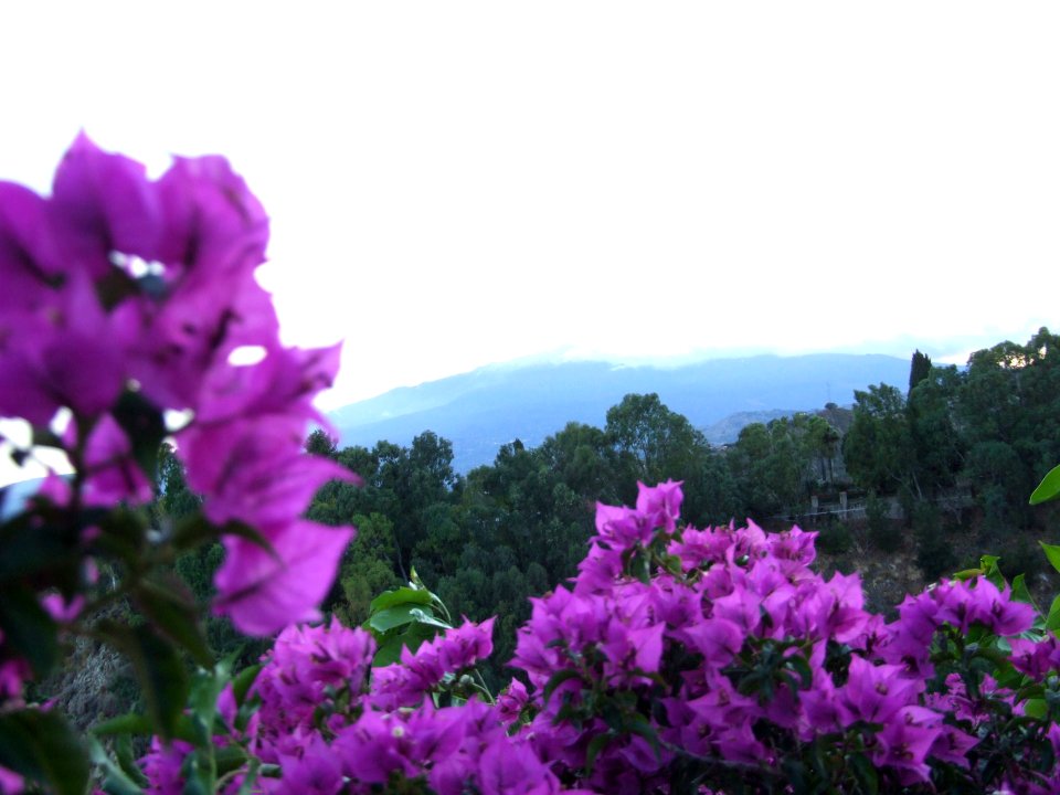 Hotel San Domenico-Taormina-Sicilia-Italy - Creative Commons by gnuckx