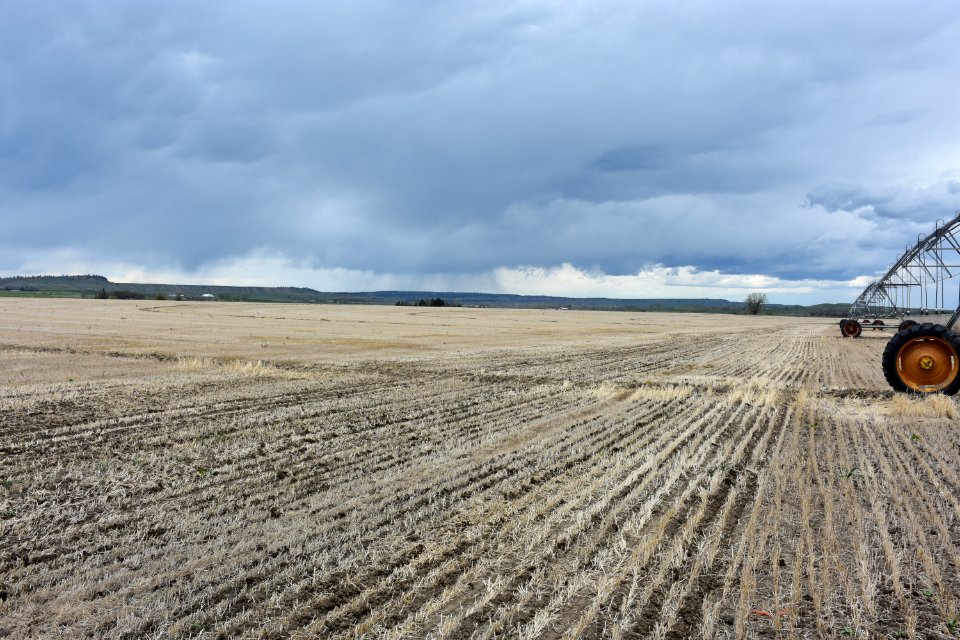 conservationtillage72