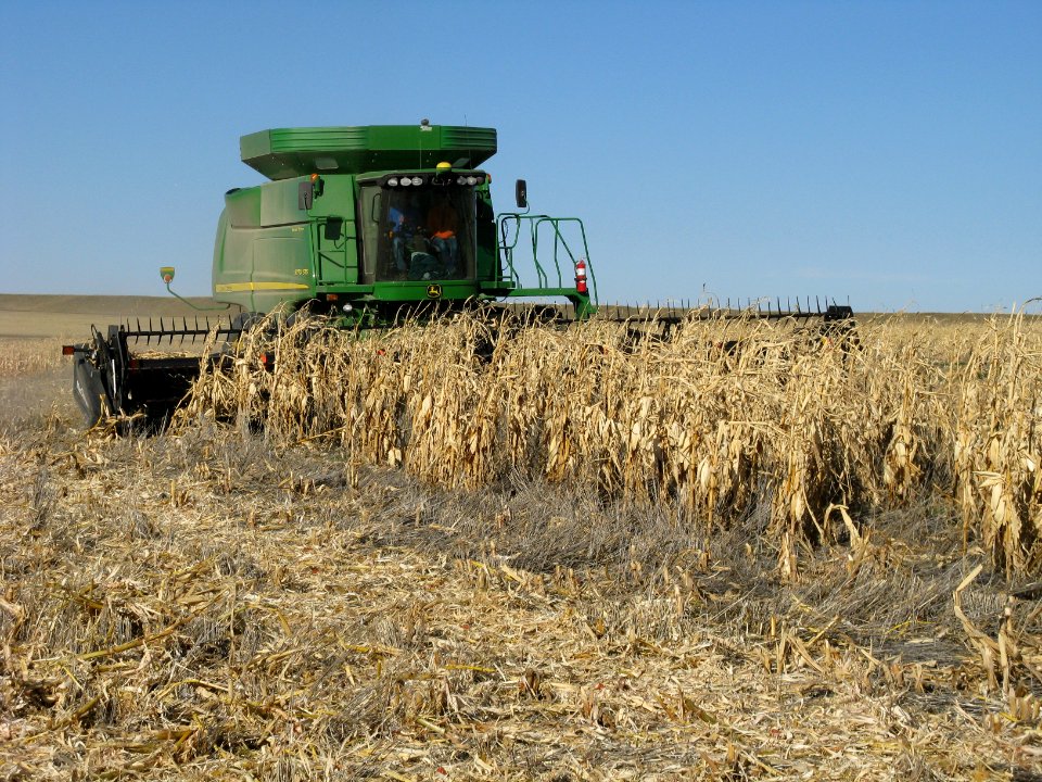 Crop Residue Management33