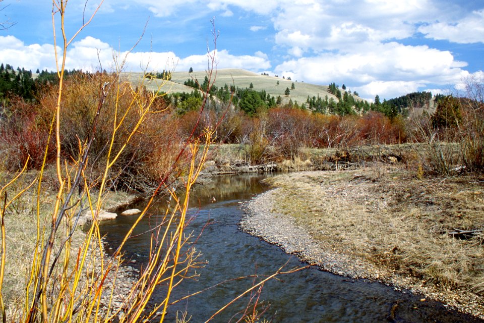 Riparian45.tif