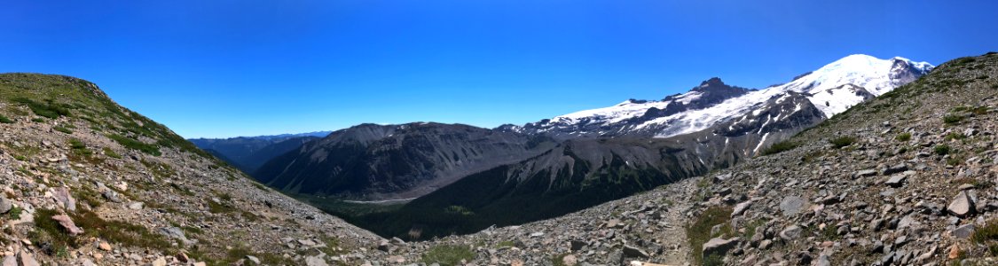 Mt. Rainier NP in WA photo