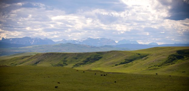 5427 NRCS projects
