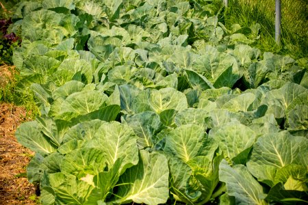 2002 NRCS projects