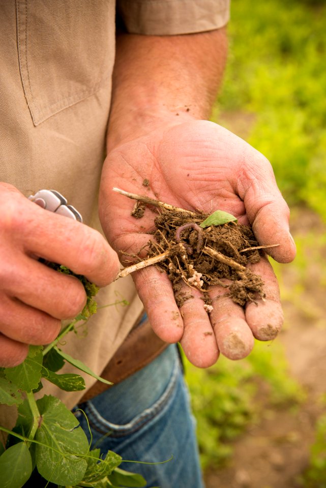 4068 NRCS projects