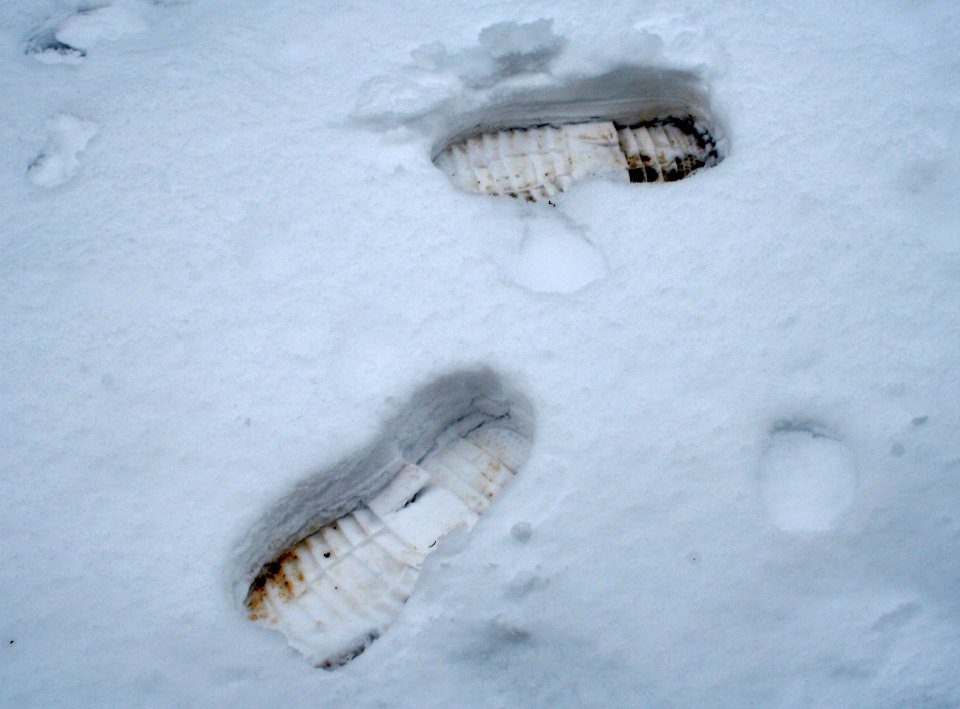 Friday's Footprints