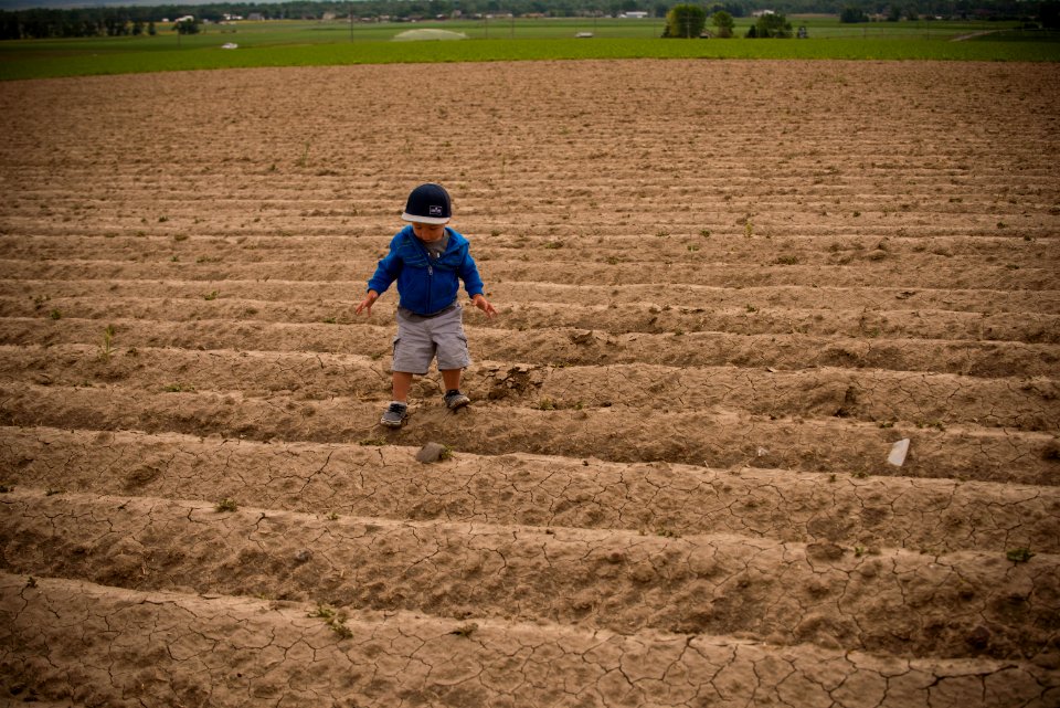 4028 NRCS projects