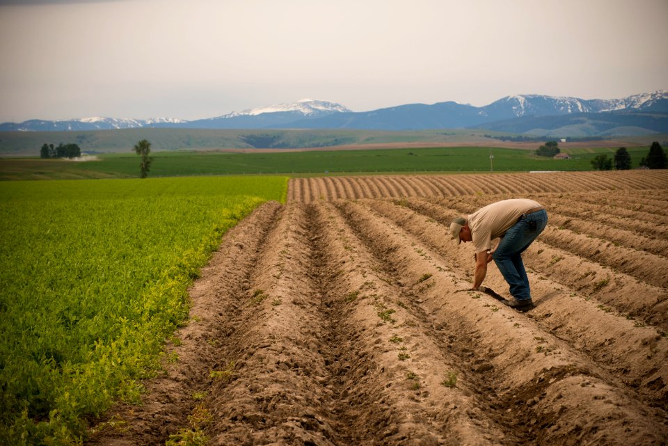 4082 NRCS projects