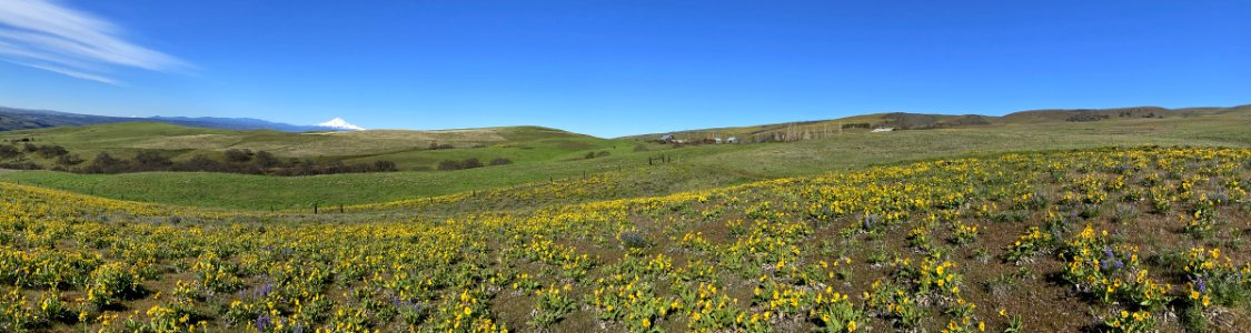 Dalles Mountain Ranch at Columbia Hills in WA