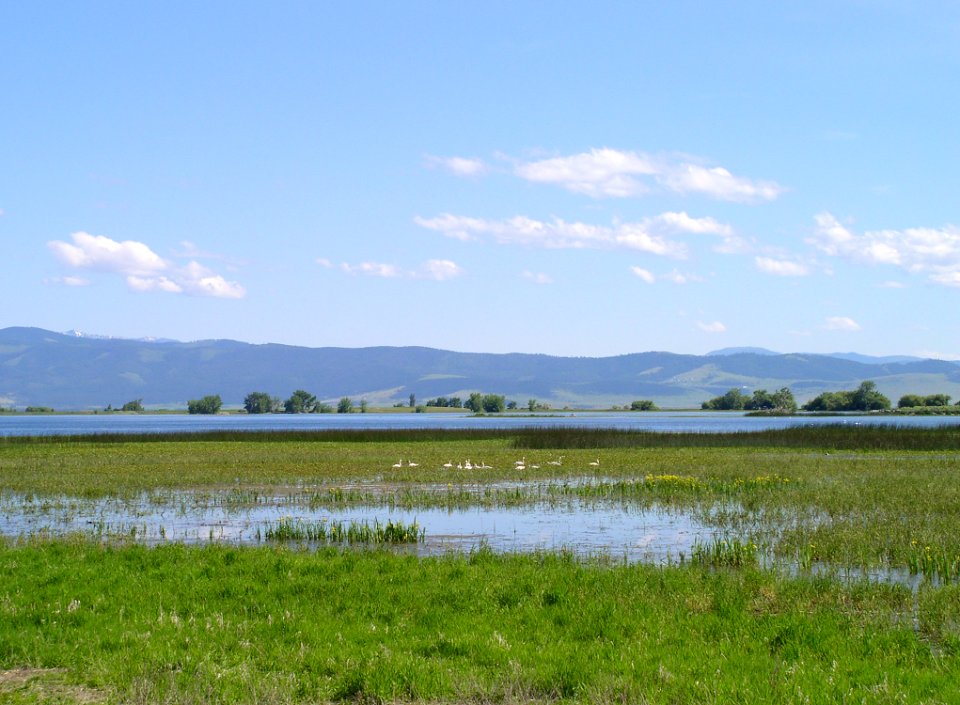 Wetlands01.tif