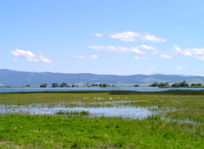 Wetlands01.tif photo